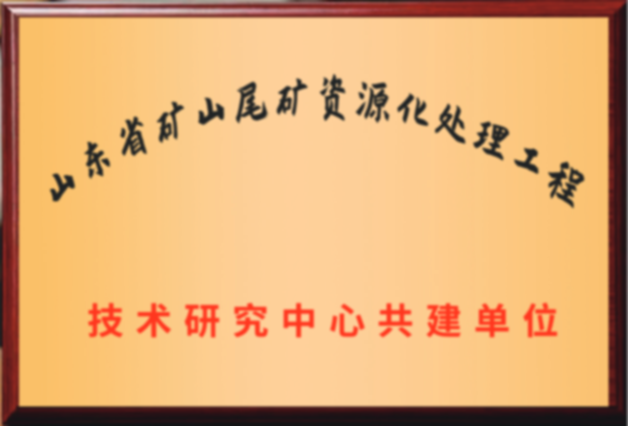 山东省矿山尾矿资源化处理工程技术研究中心共建单位